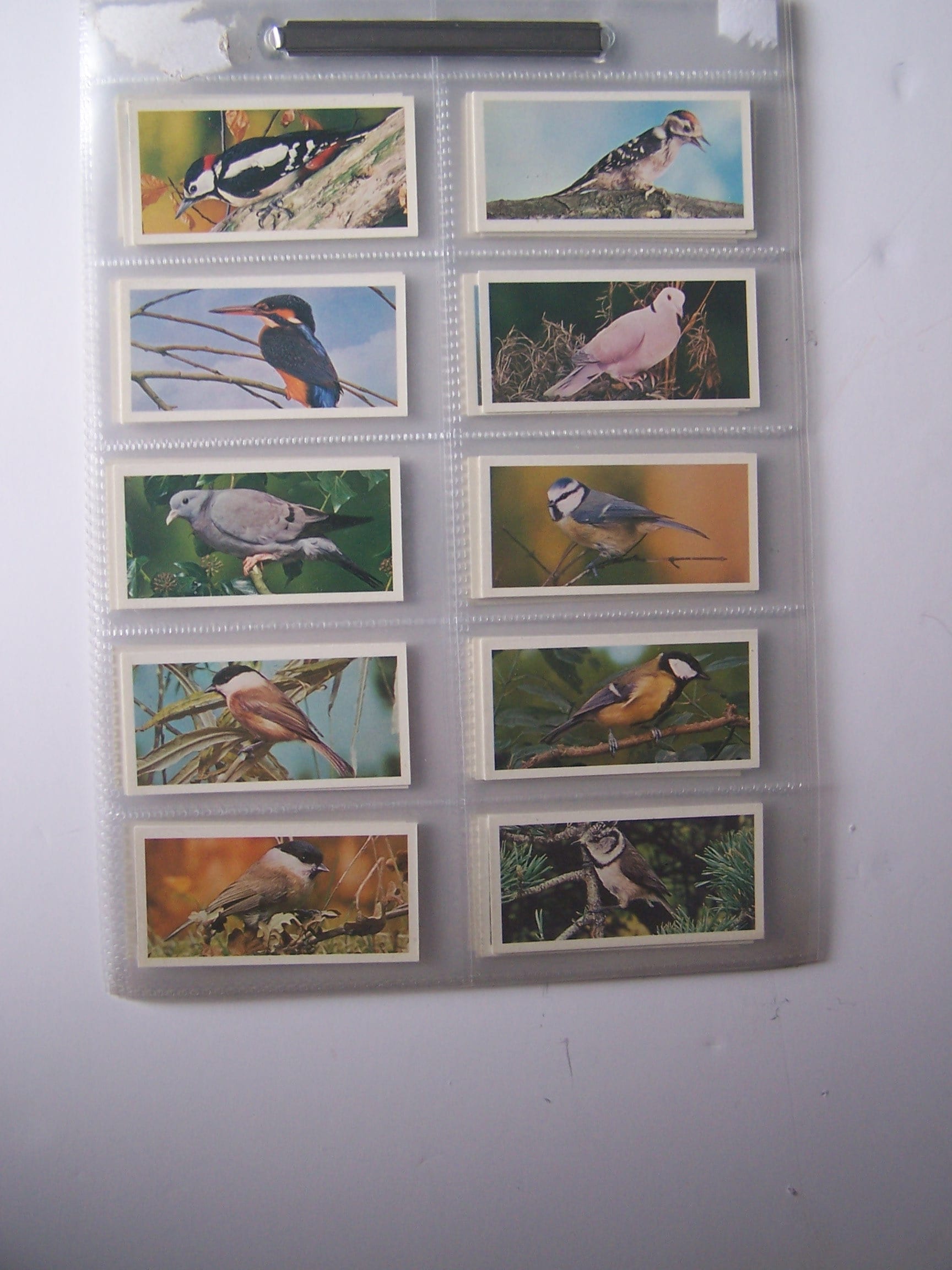 Cigarette Cards, Carreras, Craven, Black Cat, British Birds, Complete Set,  1976