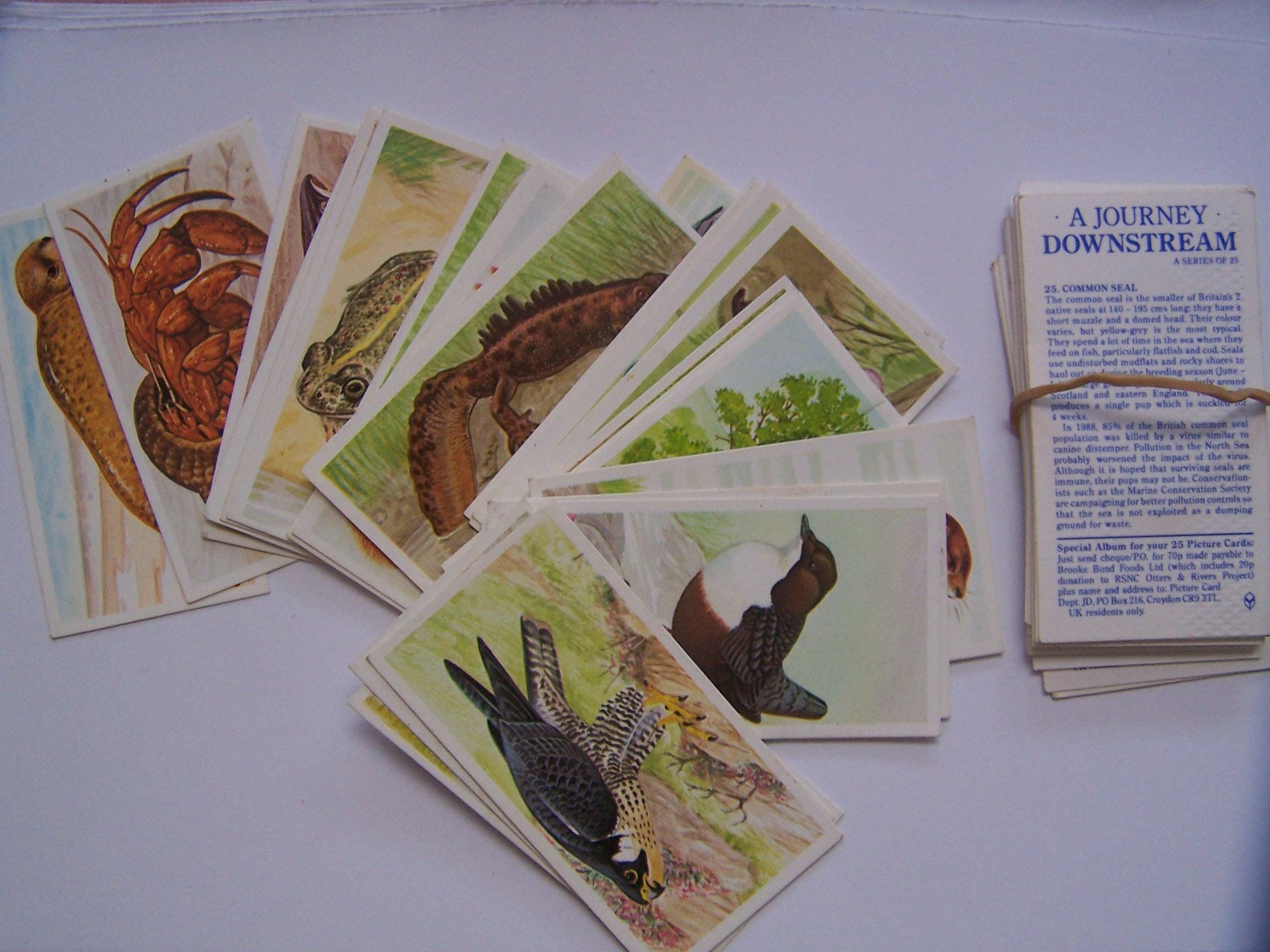 Brooke Bond Tea Cards