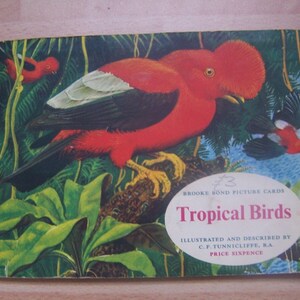 Cartes à thé, Brooke Bond, cartes illustrées, oiseaux tropicaux, histoire, album, ensemble complet, 1961