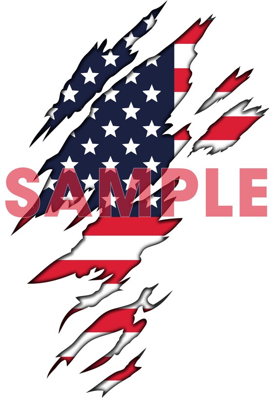 Ripped American Flag