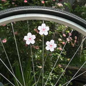 May include: Close-up of a bicycle wheel with three white cherry blossom decorations attached to the spokes. The blossoms have pink centers and are set against a backdrop of green foliage and pink flowers.