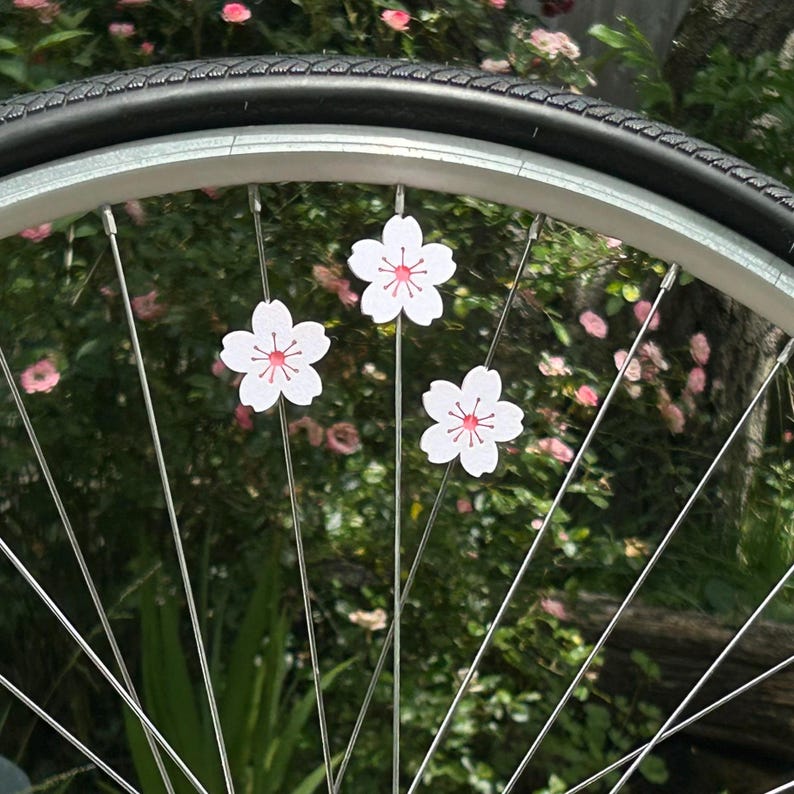 May include: Close-up of a bicycle wheel with three white cherry blossom decorations attached to the spokes. The blossoms have pink centers and are set against a backdrop of green foliage and pink flowers.