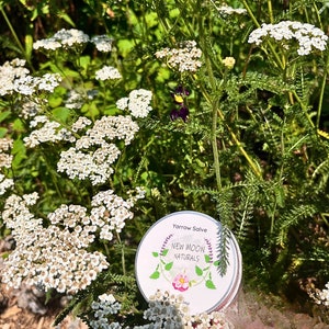 Organic Yarrow Salve