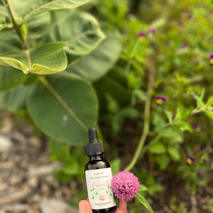 Organic Red Clover Tincture