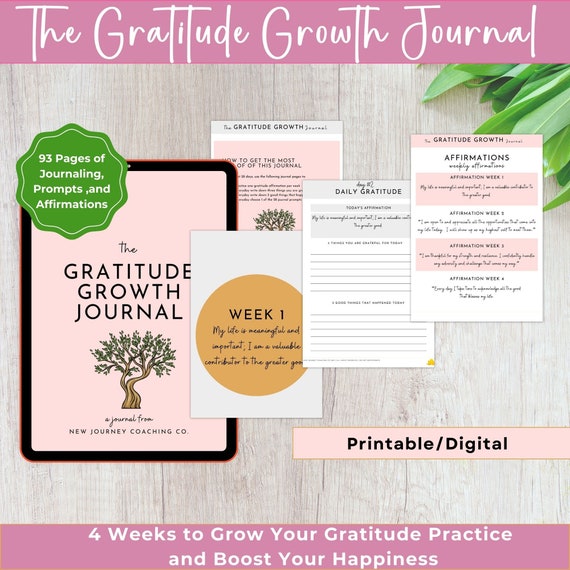 The Gratitude Journal : More Happiness, Positivity, Affirmation, Productivity, Mindfulness & Self Care - A Simple Undated Hardcover Daily Guide