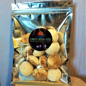 Mini CHEESECAKE | FREEZE DRIED Space Food | Free Shipping! | Graham Cracker Vanilla Cheese Cakes