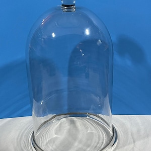 May include: A clear glass cloche with a rounded dome and a small, rounded handle on top. The cloche sits on a circular base. The background is a solid blue.
