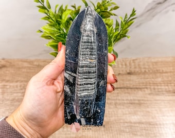 Orthoceras Fossil Tower: Ancient Grounding Decor (6.5 Inch)