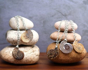 Ammonite Fossil Necklace | Ammonite Pendant | Fossil Jewelry | Wire Wrap Ammonite Necklace | Spiral Fossil Pendant | Fossil Specimen