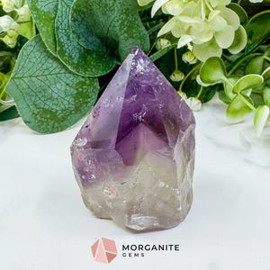 May include: A natural amethyst crystal, displaying a gradient from deep purple to pale, translucent tones. The crystal has a pointed apex and a rough base. Green foliage and the text "MORGANITE GEMS" are visible in the background.