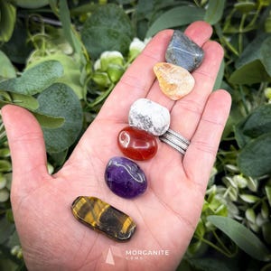 Leo Crystal Set - Original Zodiac Gemstone Crystals Gift Box Included for Healing, Meditation & Astrology Gifts