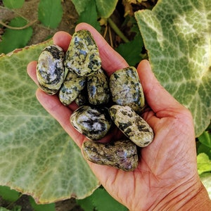 Nephrit Jade | Trommelstein | Große | Kristall | Tasche | Palme | Poliert | Gitter | Meditation | Herzchakra | Träume | Klarheit | Blessin