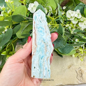 May include: A light blue and tan crystal tower with a textured surface. The crystal is held in a hand and is surrounded by green leaves and white flowers. The text "MORGANITE GEMS" is visible at the bottom.
