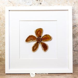 Agate Slice Art Framed Geode Wall Décor for Living Room & Bedroom, Natural Crystal Flower Pattern Home Accent