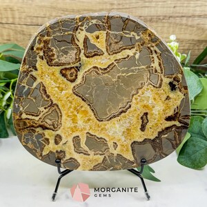 Utah Septarian Dragon Stone Slice – Polished Aragonite & Calcite Specimen
