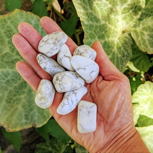 Piedra pulida de howlita con tarjeta de información / Cristal pulido grande para meditación en el chakra de la corona / Piedra preciosa para la palma de la mano para una creatividad tranquila