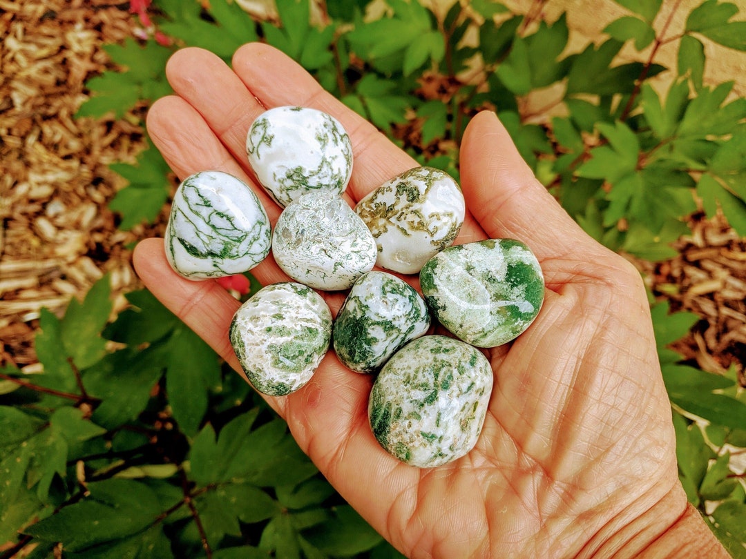 Timbled Tree Tree Agate Tumbled Stone: Large Crystal for Meditation & Calm - Etsy