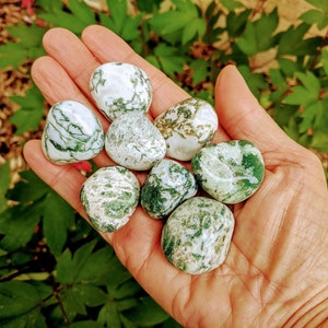 May include: A collection of seven green and white moss agate tumbled stones. The stones are smooth and polished, with a variety of green and white patterns.