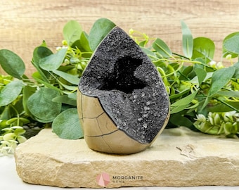 Septarian Dragon Egg Druzy Geode No. 3 – 6″ × 4.5″ × 3″ | 2.84 lb Statement Specimen