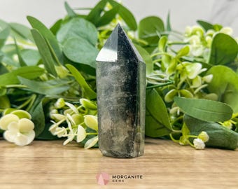 AAA Garden Quartz Tower: Lodolite Crystal for Manifestation No. 1