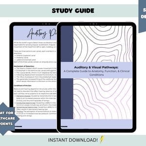 Op de afbeelding: Twee digitale tablets met een studiehandleiding over auditieve en visuele paden. De gids bevat anatomische diagrammen en tekst, met de titel "Auditory & Visual Pathways: A Complete Guide to Anatomy, Function, & Clinical Conditions."