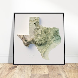 Elevation Map of Texas, Wall Art Topographic Print, Cartography Art, Vintage Décor for Home & Office, Gift for Explorers