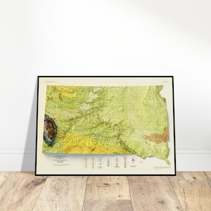 Carte géologique du Dakota du Sud, rendu personnalisé avec données d'altitude, oeuvre d'art murale pour les explorateurs et les aventuriers, décoration maison/bureau
