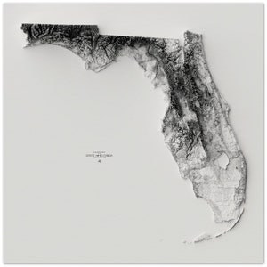 Florida Elevation Map Wall Art - Il 300x300.4183185662 9axz 