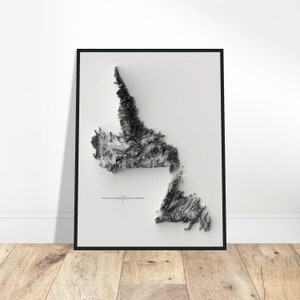 Carte d'altitude de la province de Terre-Neuve-et-Labrador - Impression topographique d'art mural, art de la cartographie, décoration vintage