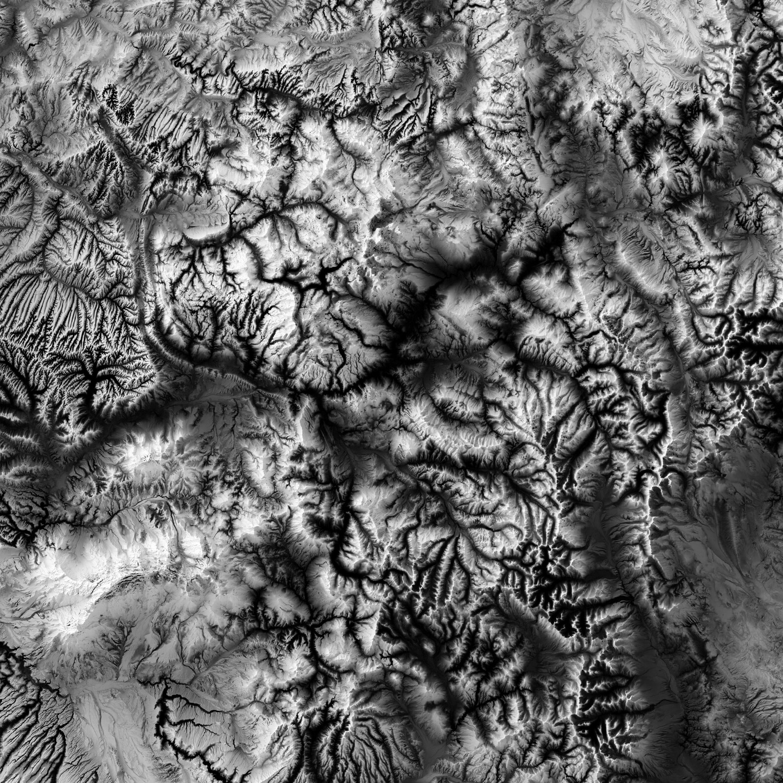 Colorado Elevation Map Wall Art Print Topographic Map Etsy