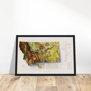Montana Geologie Karte, Wand Kunst Druck, Topographisches Relief, Geologie Geschenk, Vintage Dekoration für Zuhause & Büro