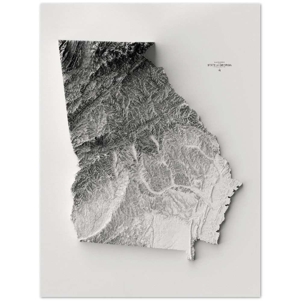 Georgia Elevation Map Wall Art Print Topographic Map Etsy Il Fullxfull.4230856483 4tc8