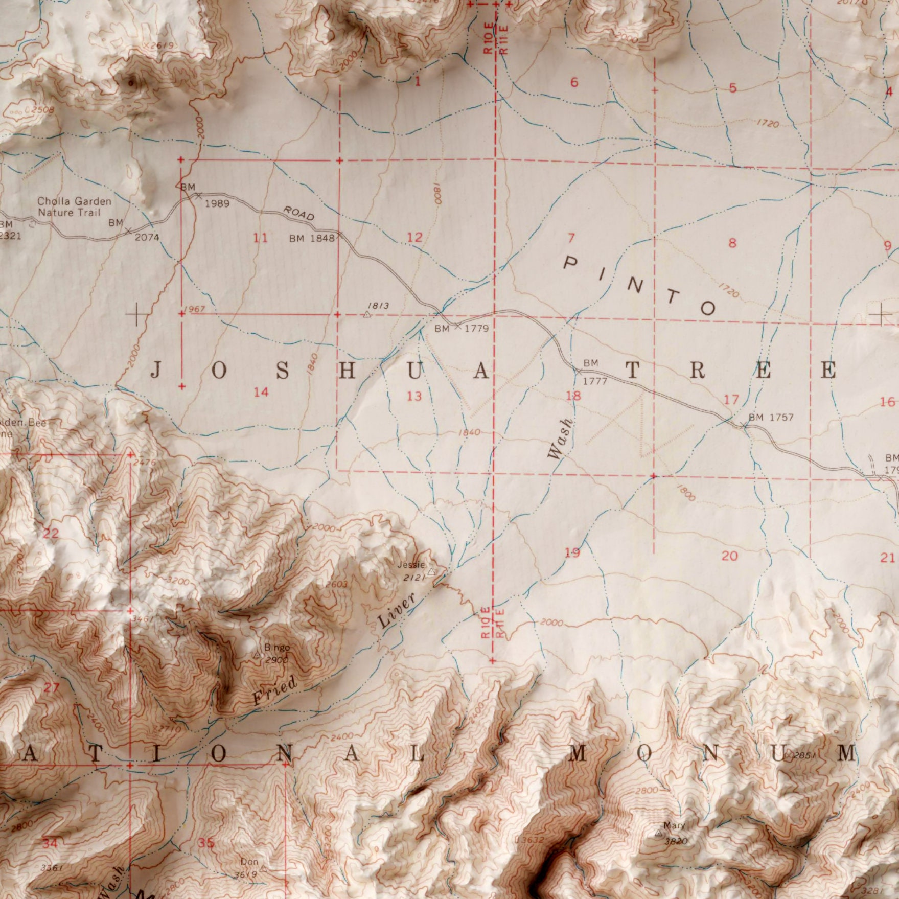 Joshua Tree National Park Map – Vintage Topographic Relief Print ...