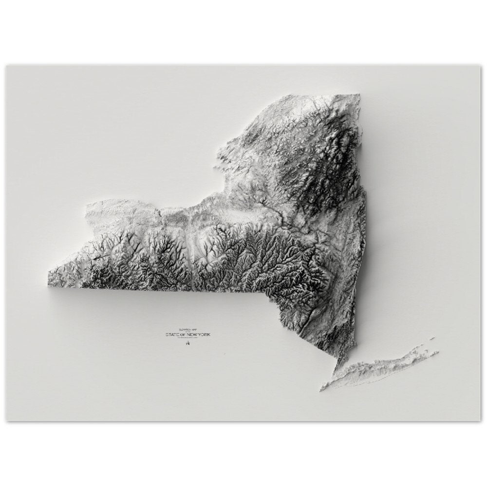 New York Elevation Map Wall Art Print Topographic Map - Etsy