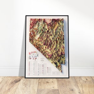 Nevada Geologie Topographische Reliefkarte - Wanddekoration für Abenteurer - Geschenk für Geologie und Geschichts Enthusiasten