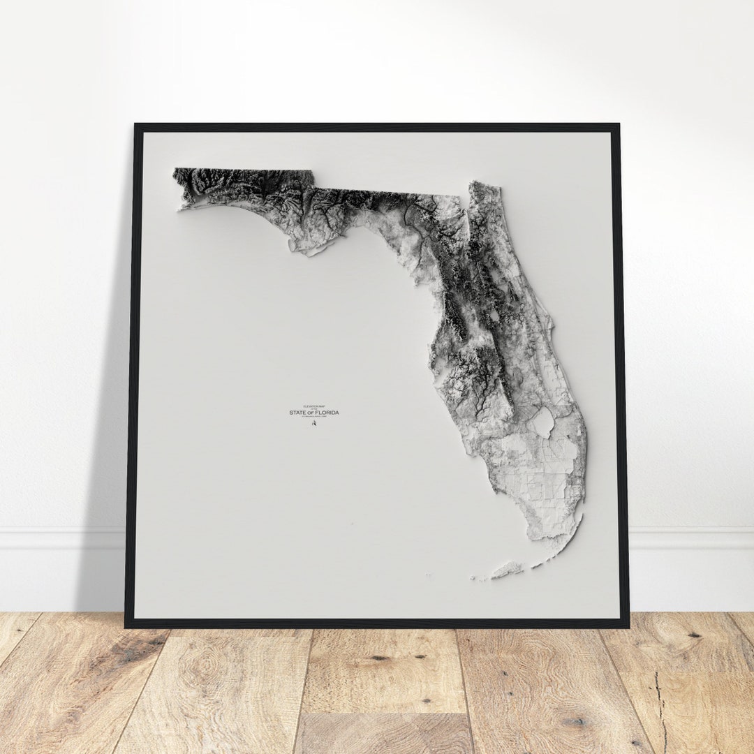 Florida Elevation Map Wall Art Print Topographic Map - Etsy