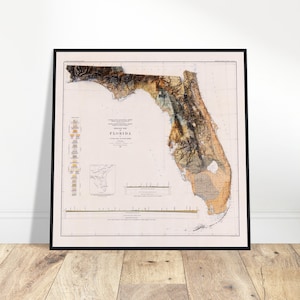 Carte géologique de la Floride - affiche d'art mural en relief topographique, décoration d'intérieur unique pour les explorateurs, cadeau pour les passionnés d'histoire. Explorez les reliefs du Texas