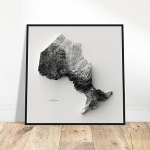 Carte d'altitude de la province de l'Ontario - Impression topographique murale, art de la cartographie, décoration vintage pour la maison et le bureau