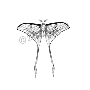 Luna Moth Tattoo Ticket