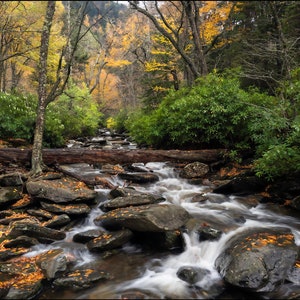 Great Smokey Mountains Autumn Stream , Newfound Gap Wall Art, Wall Decor