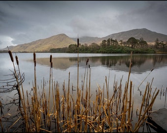 Pollacapall Lough, Ireland, Irish,  Wall Art, Decor,