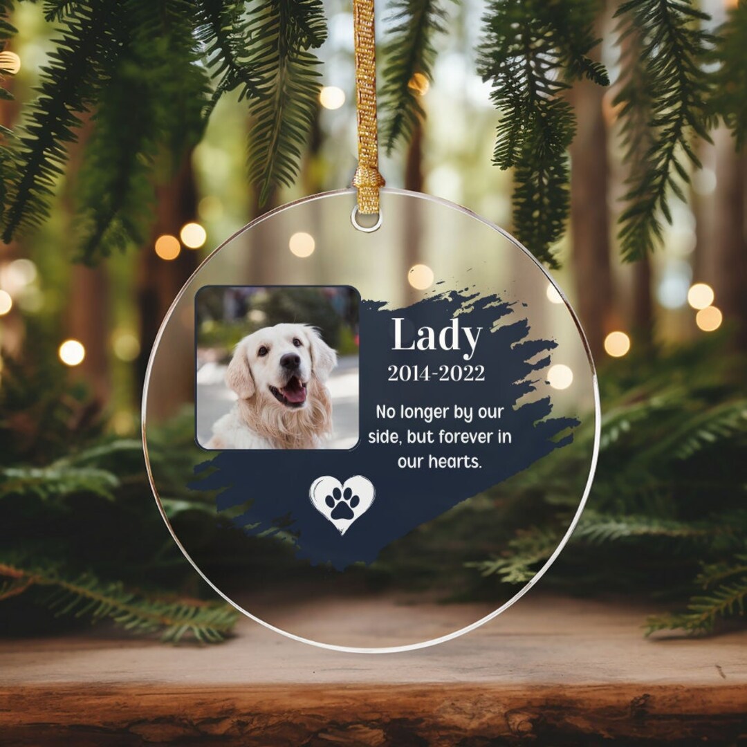 Dog Loss Memorial Gift for Cat Loss Sympathy Gift Cat Photo Ornament ...