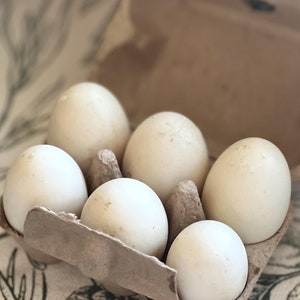 May include: A half-filled, open cardboard egg carton holding six white eggs. The eggs are oval-shaped and have a slightly textured surface. The carton is light brown and sits on a patterned fabric.