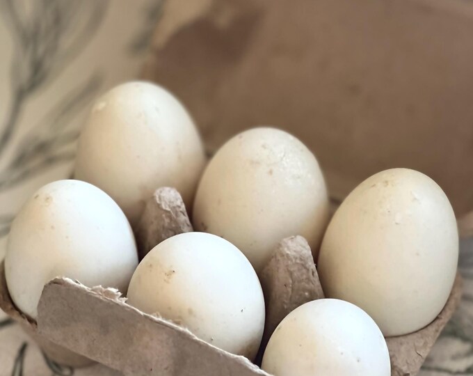 Photo inspiration: Fresh Look at Free Range Duck Eggs