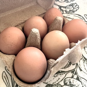 Free range organic chicken eggs