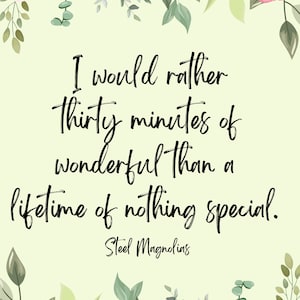 May include: A light green background with a floral border of pink and white flowers. The quote "I would rather thirty minutes of wonderful than a lifetime of nothing special." is written in black cursive font. The quote is attributed to "Steel Magnolias".