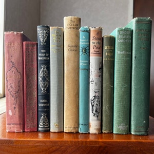 Antique Vintage book collection, old hardback books, adapt old book, book decorative , 19th century books , book lover , book collection