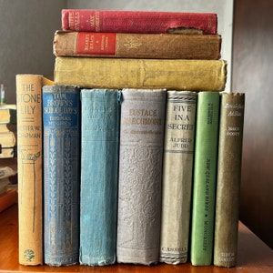 Antique Vintage book collection, old hardback books, adapt a old book, book decorative , 19th century books