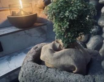 modern stone pot with live plant