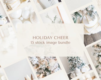 Holiday Cheer Bundle / 19 Social Media Photos Capturing the Essence of Festive Celebrations